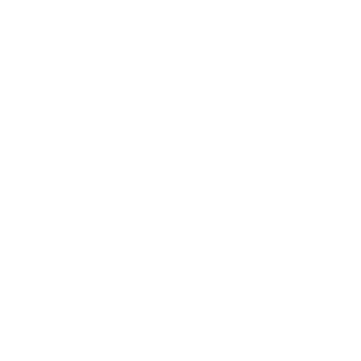 Surveillance image